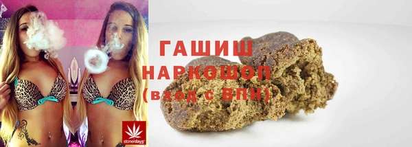 индика Краснослободск