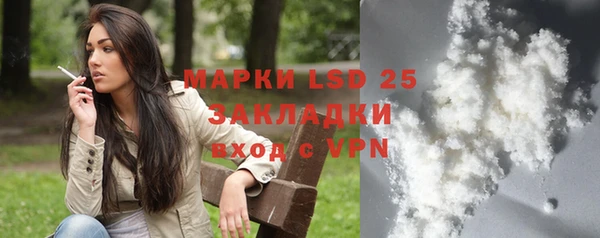 индика Краснослободск