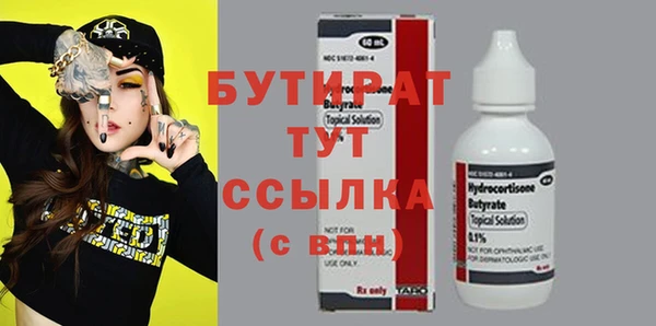индика Краснослободск