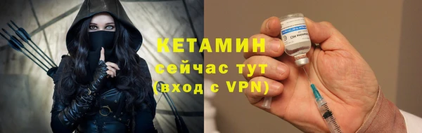 индика Краснослободск