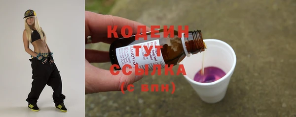 индика Краснослободск