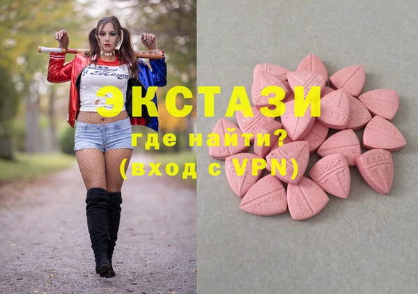 индика Краснослободск