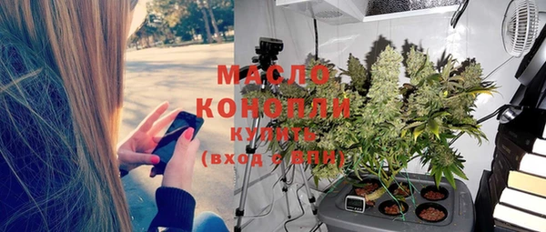 индика Краснослободск