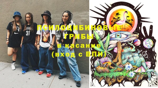 индика Краснослободск