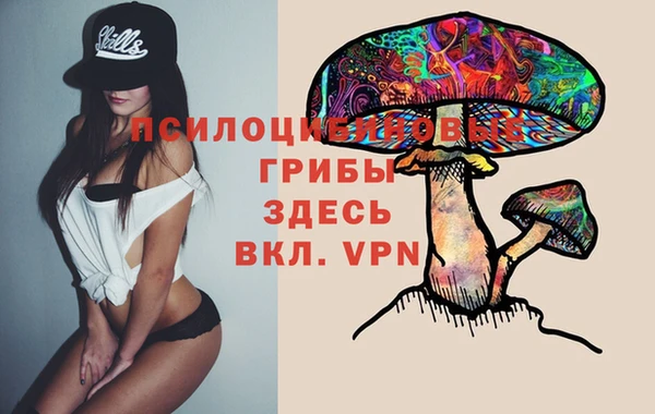 индика Краснослободск