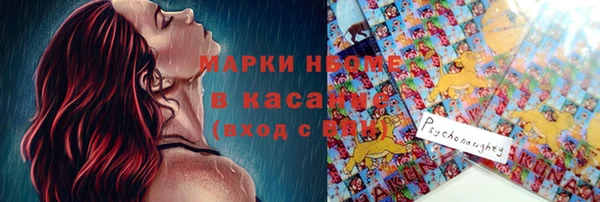 индика Краснослободск