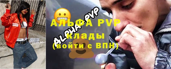 индика Краснослободск