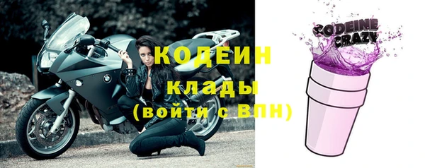 индика Краснослободск