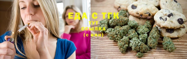 индика Краснослободск