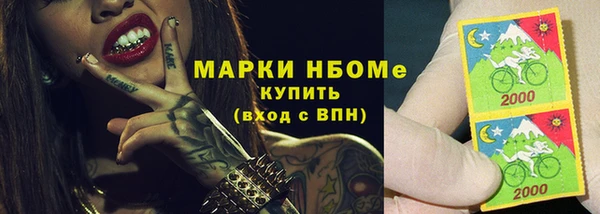 индика Краснослободск