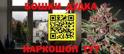 наркотики Кингисепп