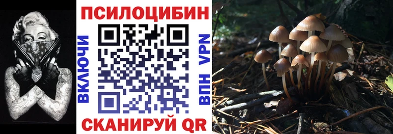 наркошоп  Людиново  Псилоцибиновые грибы ЛСД 