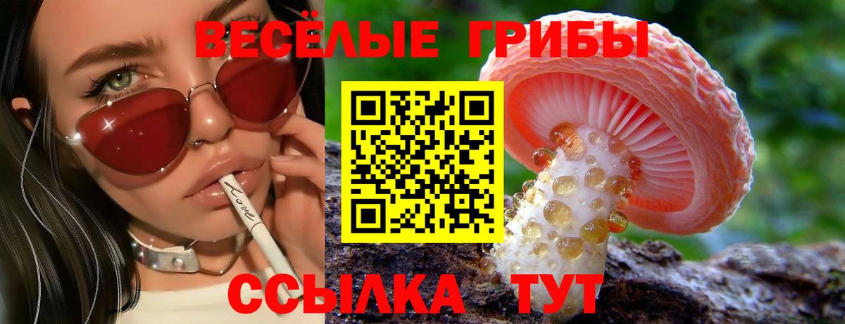 Людиново  Псилоцибиновые грибы Cubensis  Вход с VPN 
